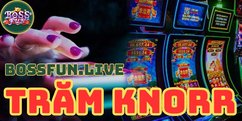 Trăm Knorr - Tận Hưởng Niềm Vui Săn Thưởng Tiền Tỉ Bossfun 10 tram knorr tan huong niem vui san thuong tien ti bossfun