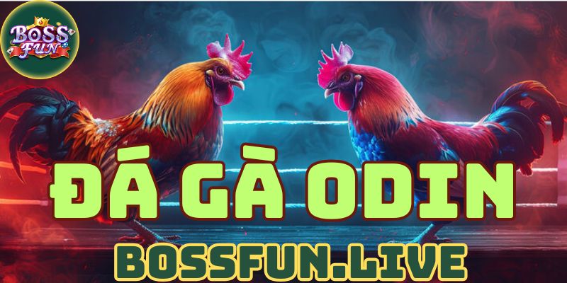 Đá gà Odin Bossfun - Hướng Dẫn Cách Chơi và Luật Chơi 2025 4 da ga odin bossfun huong dan cach choi va luat choi 2025