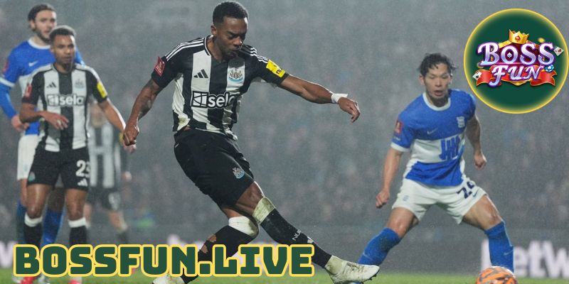 Joe Willock Châm Ngòi Cho Cuộc Phản Công Của Newcastle 3 bai tan joe willock cham ngoi cuoc phan cong cua newcastle